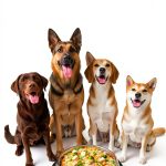 HealthPress Allergy Cookbook for Pets & Humans – 221 Page Kindle-0